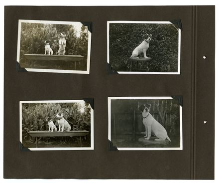 Barrow Family Photograph Album Page 22