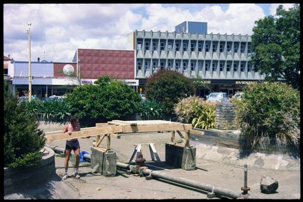 Building a new bridge across the Butterfly Lakelet