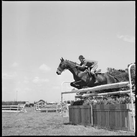 2018N_2017-20_MS000946a - Skilful Showjumping