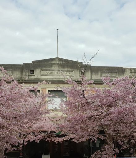 Nash Buildings and the Cherry Blossom