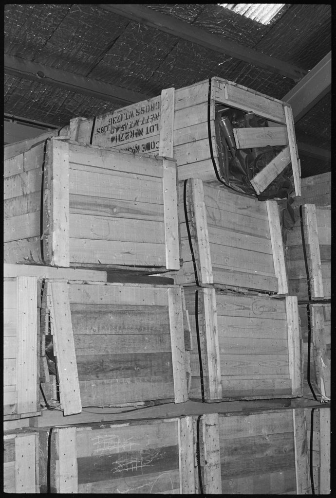 2025N_ELMAR_S6-B6_043440-003