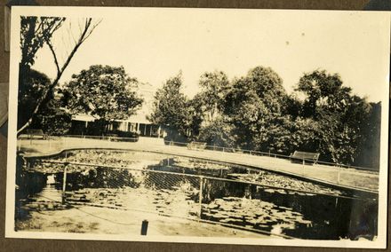 Andrews Collection: Water Lilies, The Square