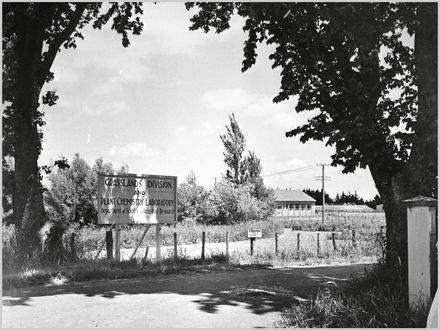 Grasslands Division and Plant Chemistry Laboratory, Department of Scientific and Industrial Research, Palmerston North