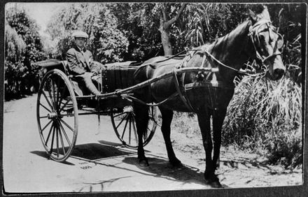 Unidentified man in a horse and trap - Resource cover image