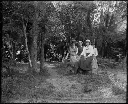 Bush Walk - Berry Family collection - Resource cover image