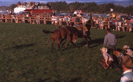 Linton Rodeo