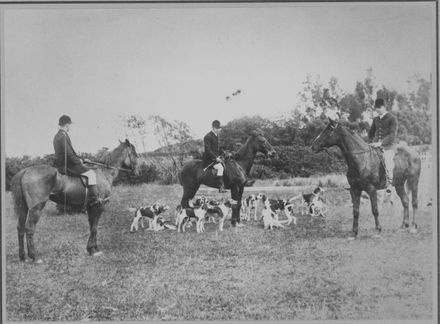 Hunting near Palmerston North