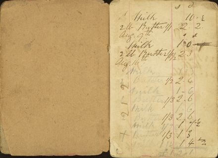 Shipboard diary p3