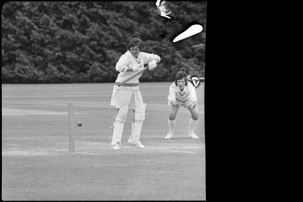 Hallyburton Johnstone Shield – Wellington v Auckland - Resource cover image