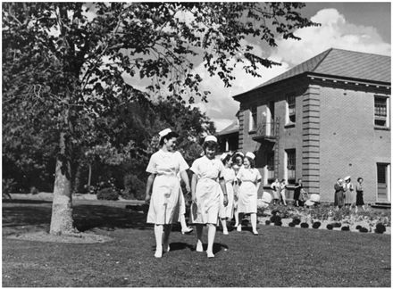Evans Family Collection: Nurses at Palmerston North Hospital