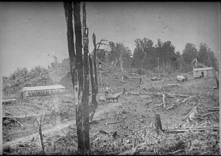 Wycherley Property at Utuwai - Resource cover image