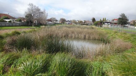 Wetlands at Norton Park 2