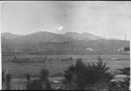 Newly cleared farmland, Wairarapa