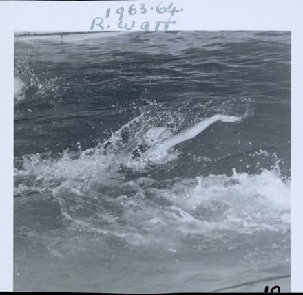 West End Amateur Swimming Champions - Raewyn Watt - Resource cover image