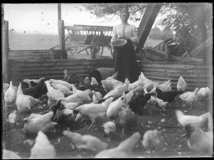 Woman Feeding Chickens