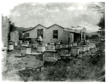 Wildbore Apiary, Pohangina
