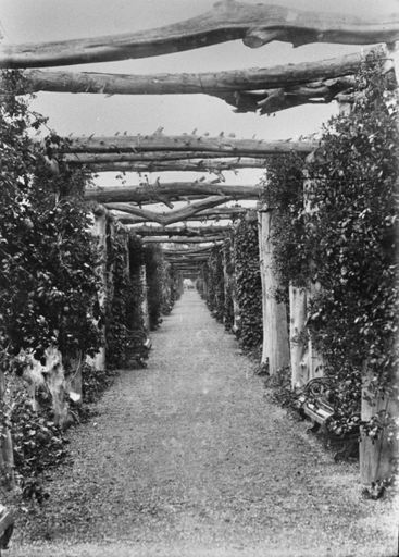 Pergola, Victoria Esplanade