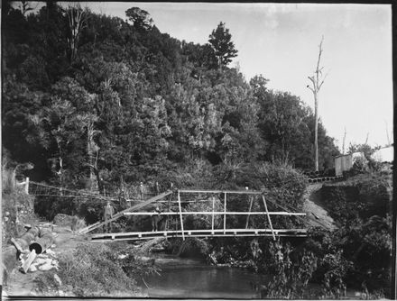 Two Bridges Over Turitea Stream