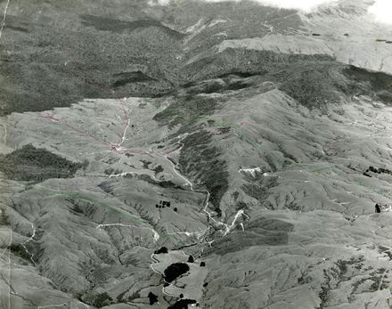 Gordon Kear Forest, Kahuterawa