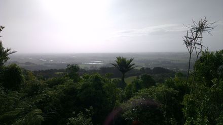 Manawatū Gorge Loop Track view