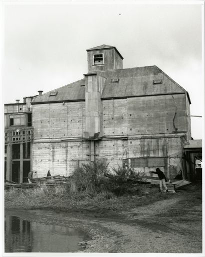 Manawatū Flour Mills 6