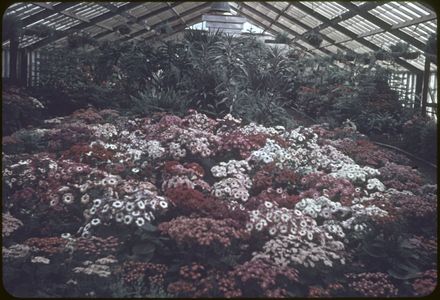 Victoria Esplanade Gardens - Peter Black Conservatory