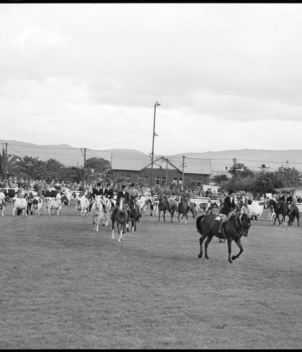 "Now the Horses With Riders Parade" Royal Show
