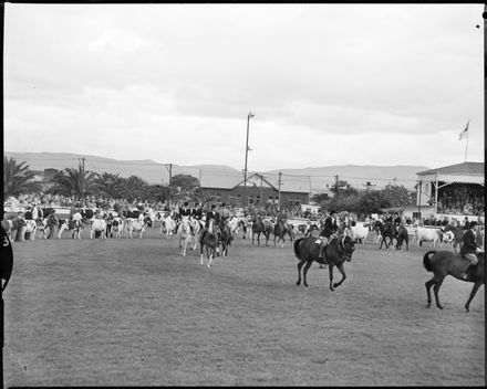 "Now the Horses With Riders Parade" Royal Show