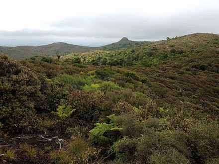 Otangane Loop
