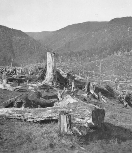 Stumps and logs on Pettigrew's farm, near Rangiwahia