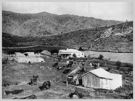 Farm, Pohangina Valley