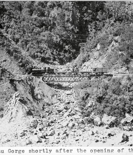 Train in the Manawatu Gorge
