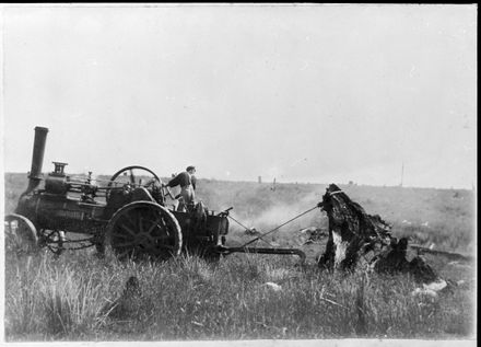Stumping by Traction Engine