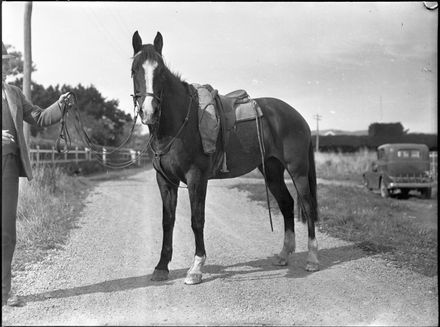 Mullin's horse, Longburn