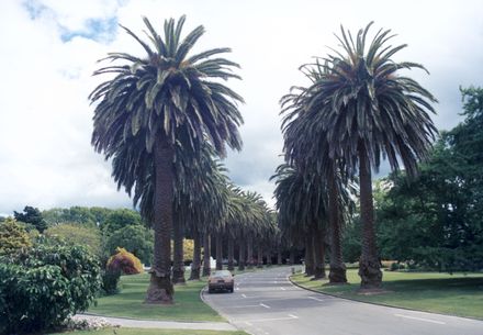 Victoria Esplanade, Palmerston North