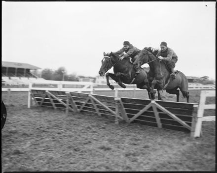 "Schooling at Awapuni" Practice jumping at Race Course