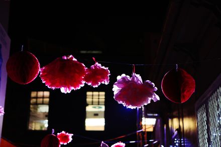 Paper flowers and lanterns at 50 George Street, Winter Festival 2017