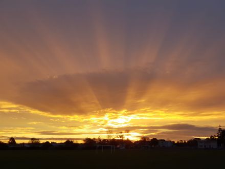 Twilight over Monrad Park