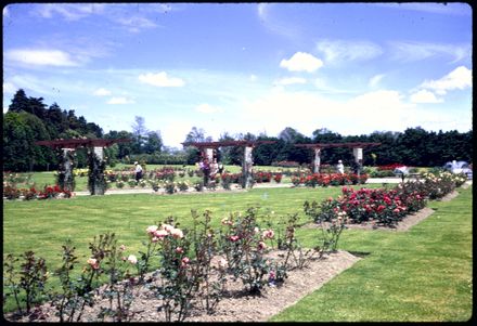Esplanade Rose garden