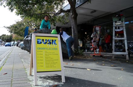 Busk Palmy 2018