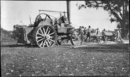 Traction engine being used to cut timber