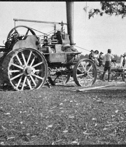 Traction engine being used to cut timber