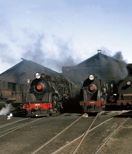 Locomotives at the Palmerston North railway yards.