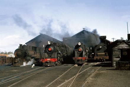 Locomotives at the Palmerston North railway yards.