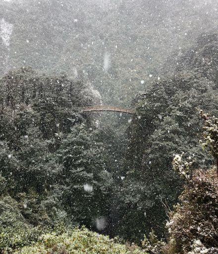 Bridge on track to Rangiwahia Hut in snow