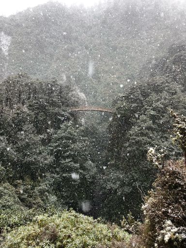 Bridge on track to Rangiwahia Hut in snow