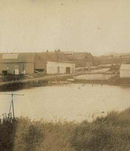Miranui Flaxmill, near Shannon