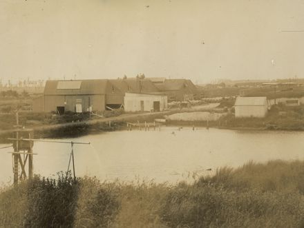 Miranui Flaxmill, near Shannon