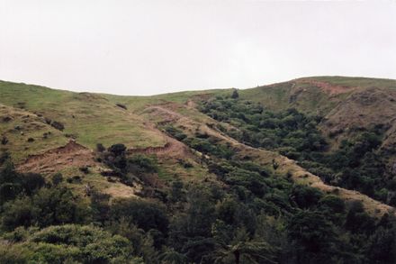 Section of the Sledge Track, Kahuterawa - Resource cover image