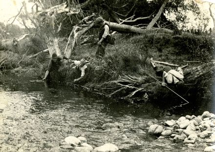 Hunting for eels, Fitzherbert West